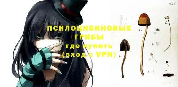 не бодяженный Арсеньев